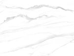 新传 新款爵士白纹 TIF合层