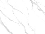 奢雅 新传鱼肚白纹 TIF合层