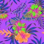 热带花