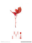 节气海报