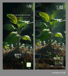 海报植树节画面