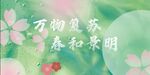 清新春天展板
