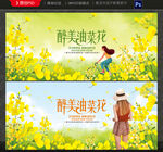 油菜花