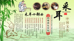 采耳背景墙