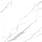 大气 新品白色石纹 TIF合层