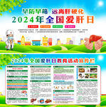 2024年全国爱肝日