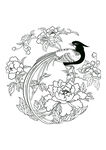 绶带牡丹