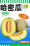 哈密瓜