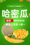 哈密瓜