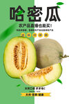 哈密瓜