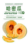 哈密瓜