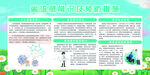 禽流感常识及预防措施