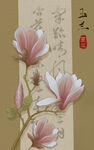 玉兰花 插画