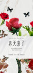 玫瑰花