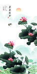 荷花