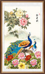 牡丹花