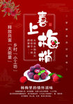 杨梅海报
