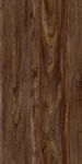 客厅 奢华质感木纹 TiF合层