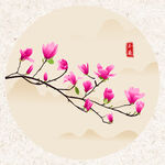 玉兰