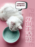 猫咪宠物馆海报
