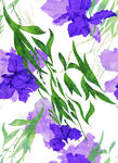 紫色鸢尾花数码服装印花