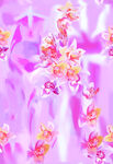花朵扎染