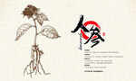 人参