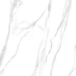 人气 高雅鱼肚白图 TIF合层