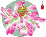 莲花矢量图