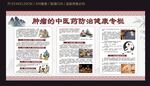 肿瘤的中医药防治健康专栏