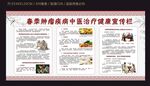 春季中医肿瘤肿瘤健康宣传栏