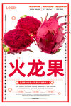 火龙果