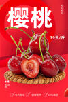 樱桃