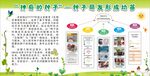 学校幼苗宣传栏