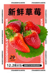 草莓