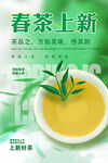 茶