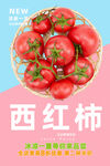 西红柿