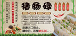 猪肠碌背景墙
