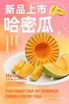 哈密瓜