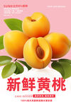 黄桃