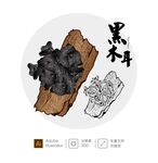 木耳插画