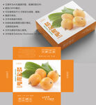 枇杷包装 水果礼盒