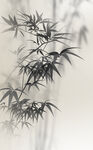 新中式水墨竹子