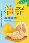 柚子