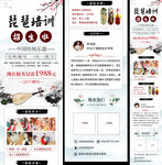 中国乐器琵琶培训招生宣传水墨风