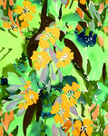 大牌花