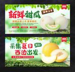 香瓜海报
