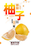 柚子
