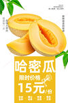 哈密瓜