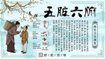 五脏六腑背景墙